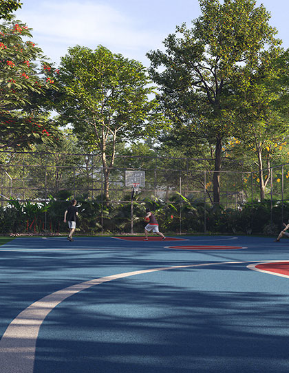 Basketball Court